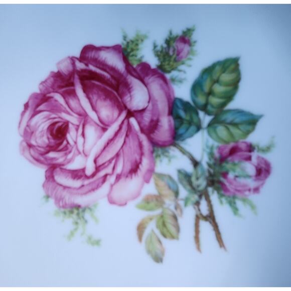 Hutschenreuther Selb Pasco “The Dundee” Vintage Serving Bowl Set - Picture 3 of 11